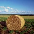 Avvisi foto - 05022013 Agricoltura balla di fieno