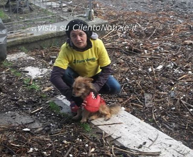 05022014 bonifica spiaggia sapri fare verde 01