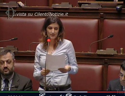 05022014 capozzolo alla camera