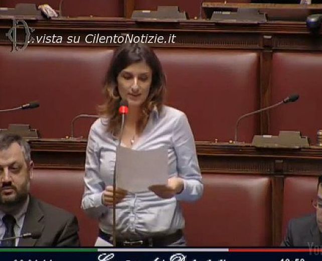 05022014 capozzolo alla camera