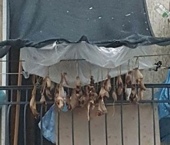05022017 carne stesa alle corde