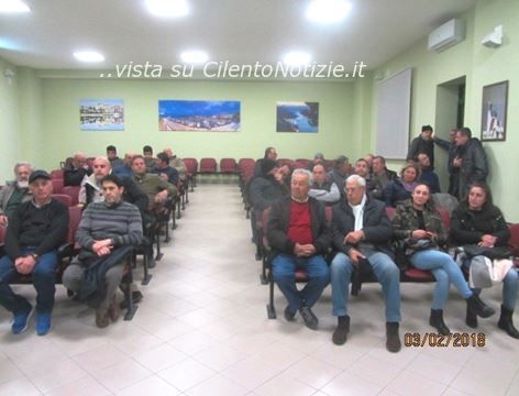 corso di potatura ulivo castellabate