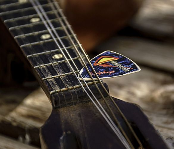 05022025 mandolino