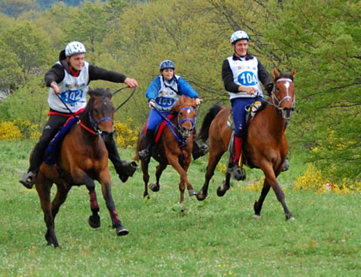 05042013 endurance cup