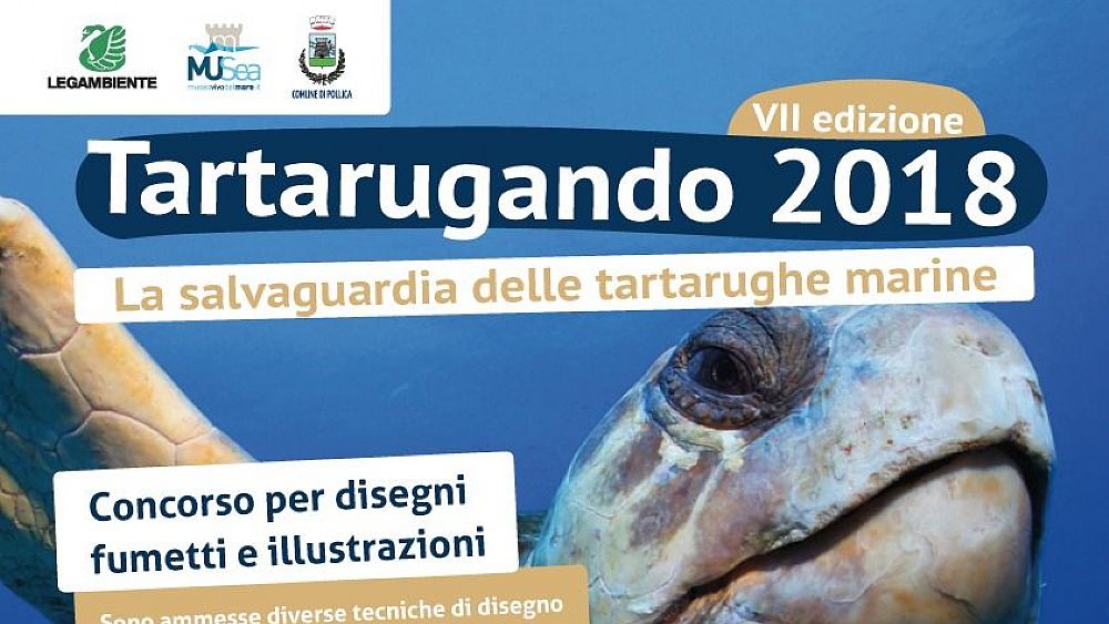 05042018 LocandinaTartarugando2018 05042018 LocandinaTartarugando2018