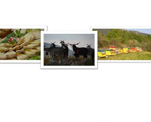 05052015 sentieri del buon vivere