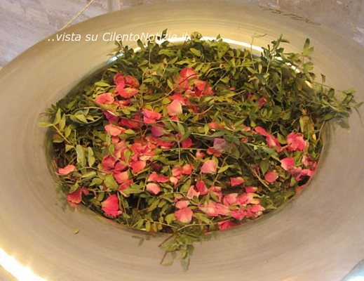 Marisa-Russo foto - 05062013 rosantico paestum russo 01