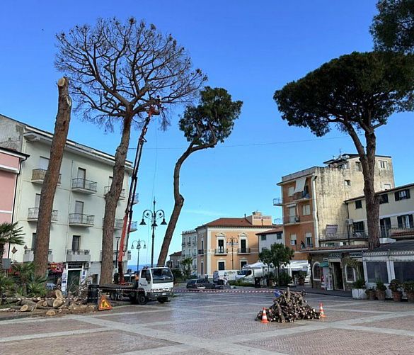 05062024 taglio alberi piazza lucia castellabate