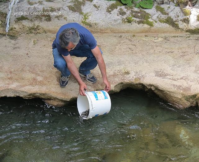 05072014 ripopolamento trote