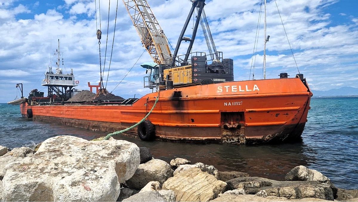 05072024 foto posidonia reimmissione in mare 05072024 foto posidonia reimmissione in mare
