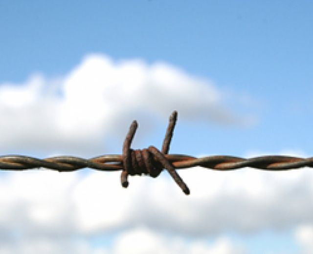 05082013 filospinato