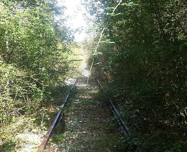 05082015 ferrovia arrugginita