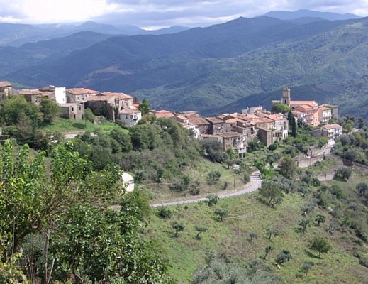 05092013 cicerale