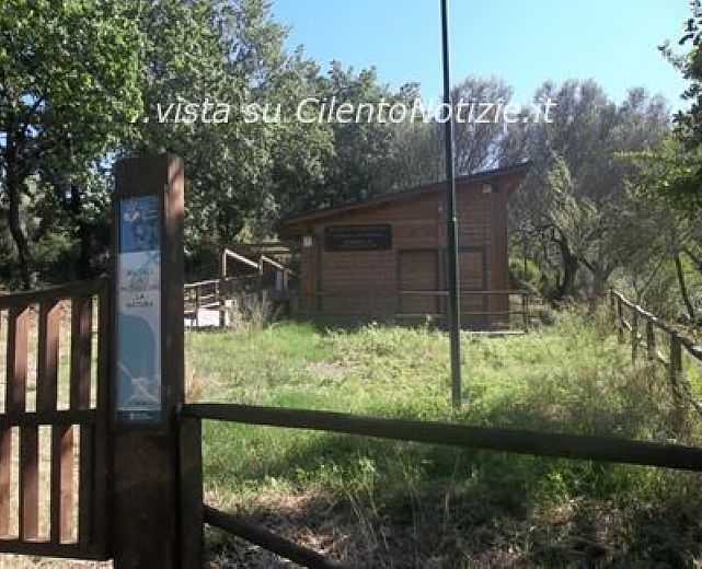 05092013 trenino di molpa