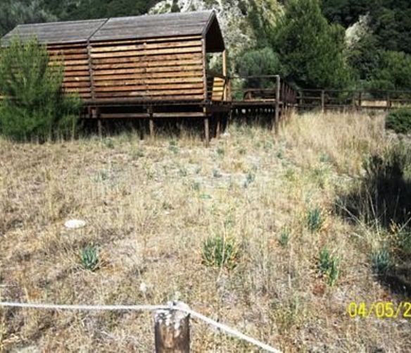 Paolo-Abbate foto - 05092017 articolo abbate 01