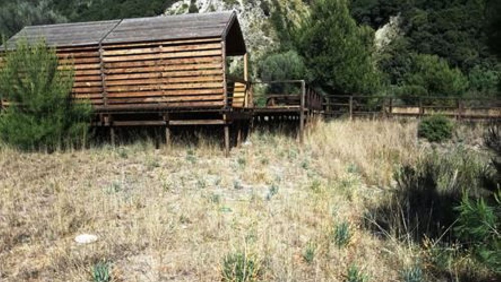 05092017 articolo abbate 01 05092017 articolo abbate 01