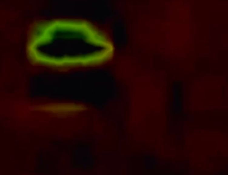 ufo avvistati a catania