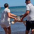 Agropoli Notizie foto - 05092025 rilascio in mare tartarughe trantova