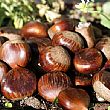 Economia foto - 05102015 castagne