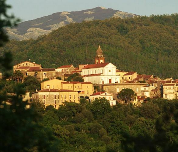 05102016 foto morigerati