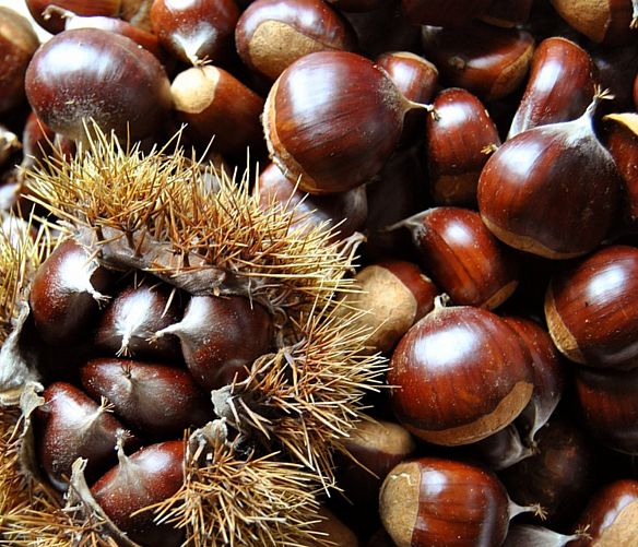 05102018 castagne
