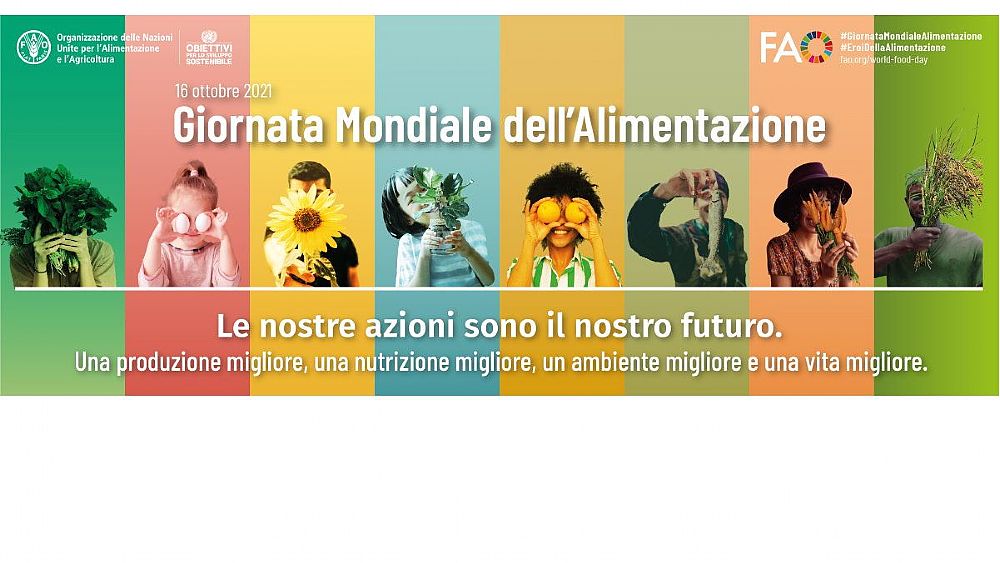 05102021 banner wfd for miur 920x350 05102021 banner wfd for miur 920x350