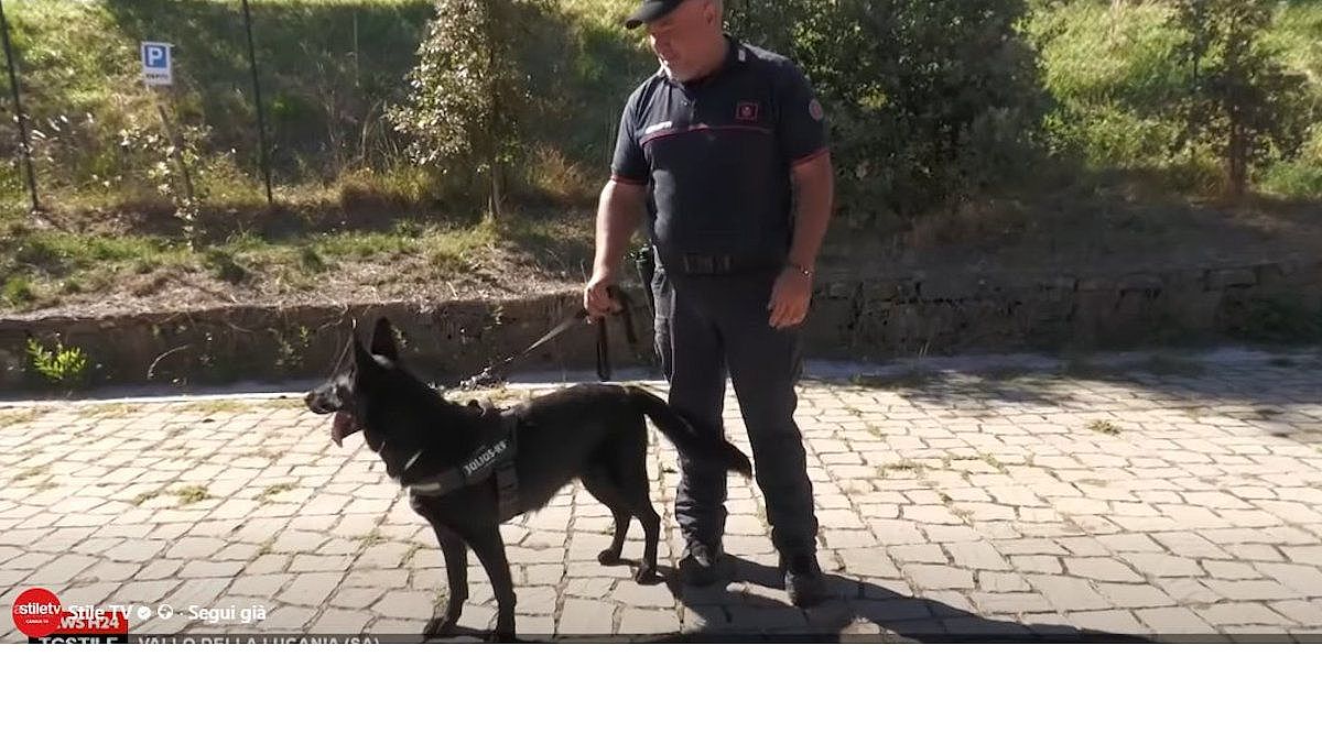 Vallo della Lucania, nuovo arrivo per l'Unit&#-15456; Cinofila Antiveleno del Parco Nazionale