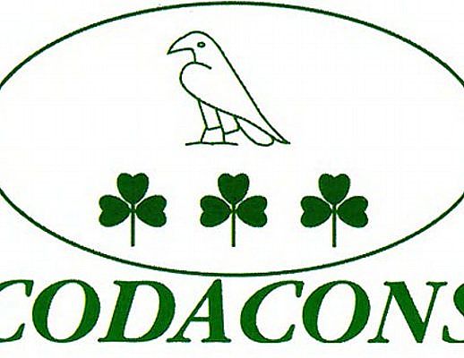 05112013 codacons