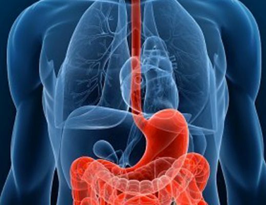 05112015 gastro