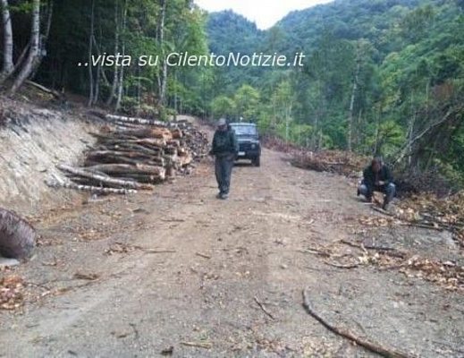 05122012 denunce forestale