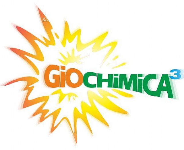 05122013 geochimica salerno