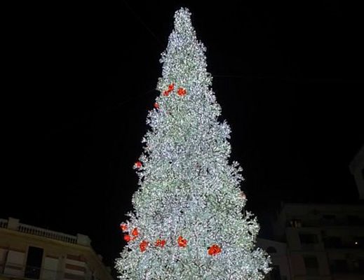 05122015 grande albero salerno