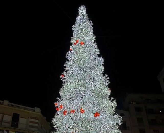 05122015 grande albero salerno