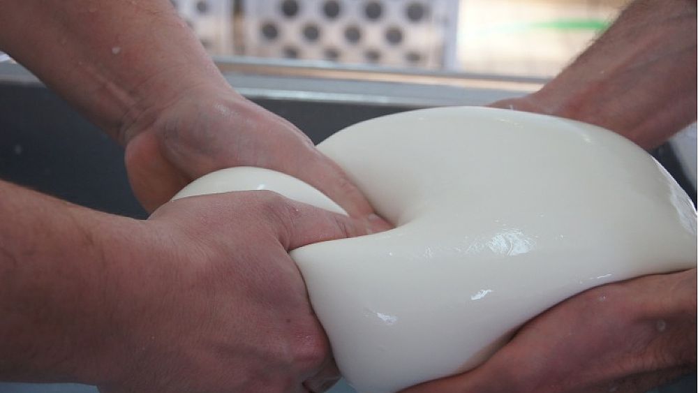 05122016 mozzarella su costa crociere