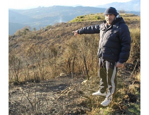 06012015 fortunato incendio