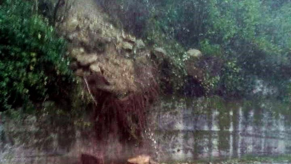 06012018 frana provinciale 47