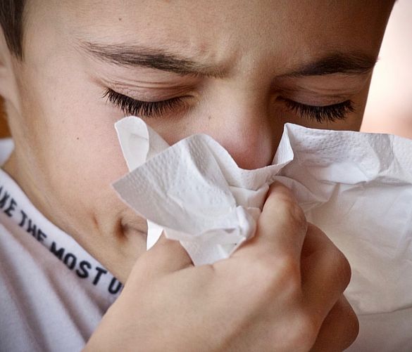 06012019 influenza e raffreddore