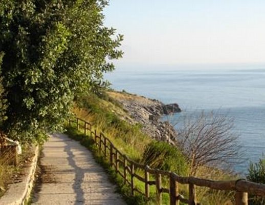 06022013 Apprezzami l asino