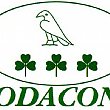 Economia foto - 06022013 codacons