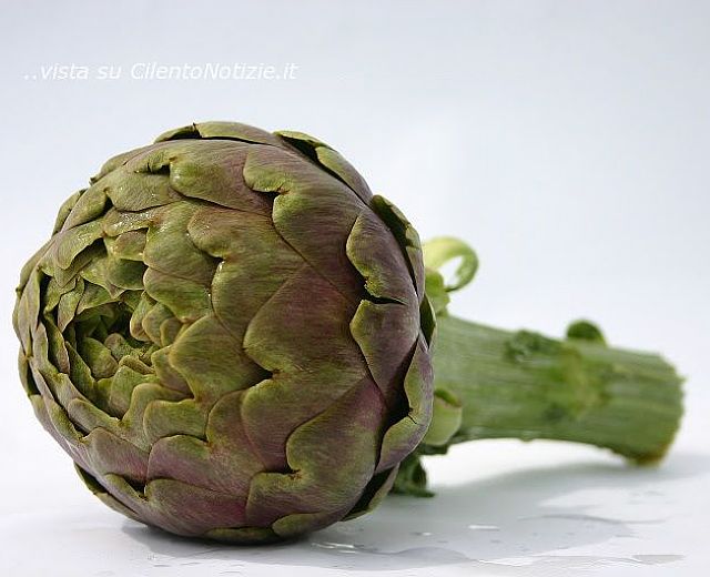06022014 carciofo
