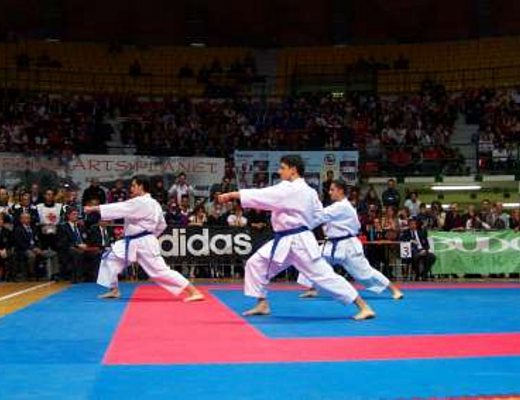 06032013 karate1