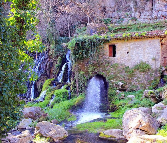 06032026 oasi wwf grotte del bussento