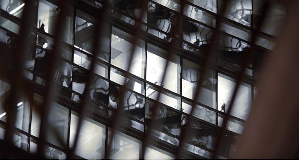 06042016 luci della citta