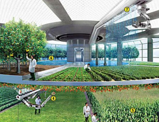 06052014 agricoltura del futuro verticale