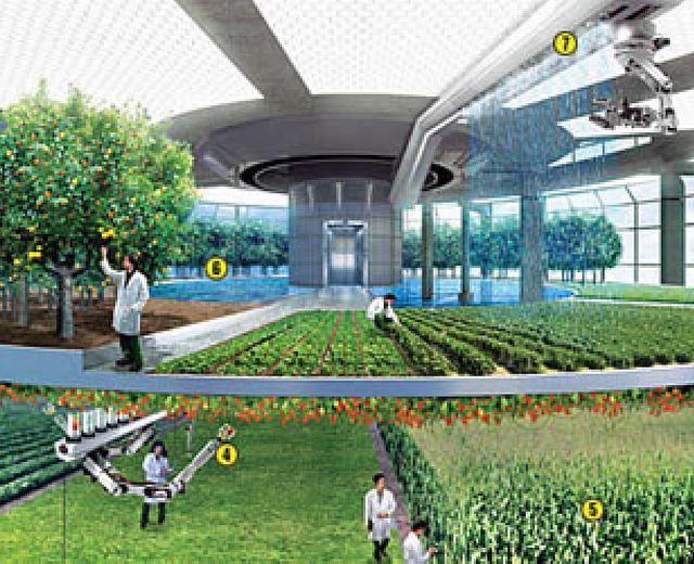 06052014 agricoltura del futuro verticale