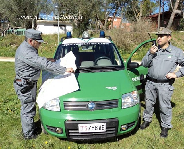 06052015 corpo forestale in azione