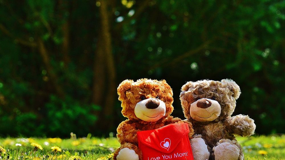 06052016 festa della mamma