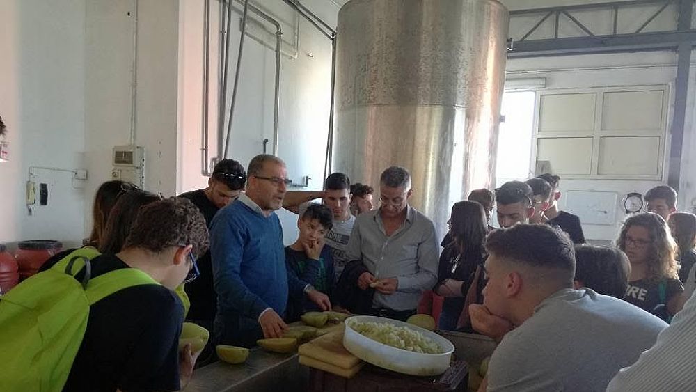 06052017 cedro calabria 06052017 cedro calabria