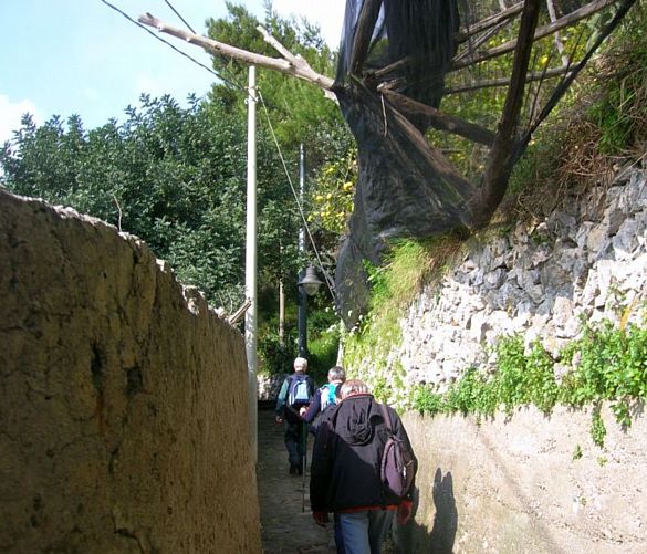 06052017 sentiero dei limoni