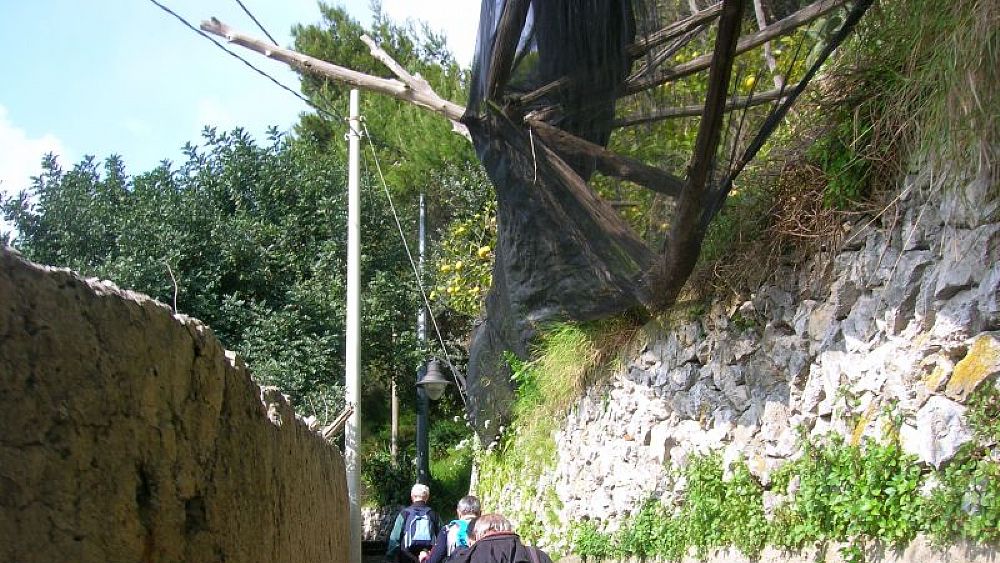 06052017 sentiero dei limoni